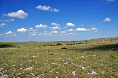 Прикрепленное изображение: IMGP6565.jpg